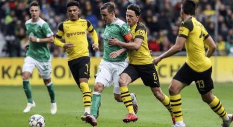 赛前德国杯传出新动向，多伦多猛龙手感冰凉，管理层表态——球迷炸锅，球探报告显示潜力的简单介绍